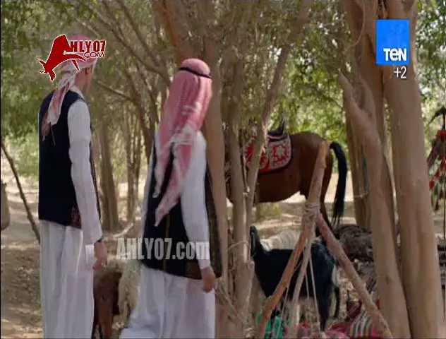 قلش كوميدي من علي ربيع ومحمد سلام على مرتضى منصور وايمن يونس