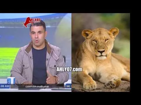 شاهد خالد الغندور يتحدث عن مرات الاسد ويدخل في نوبة ضحك بسبب اللفظ الخارج